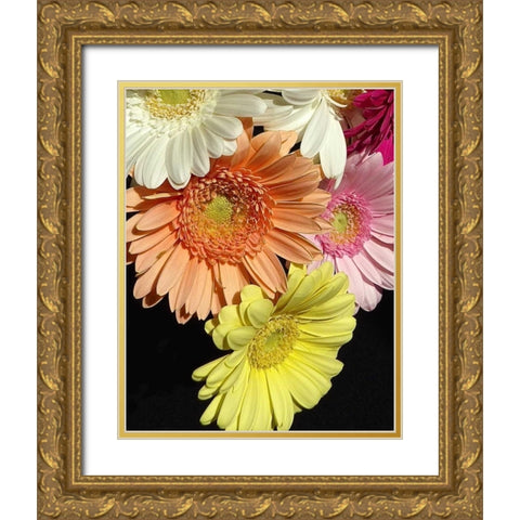 Spring Potpourri III Gold Ornate Wood Framed Art Print with Double Matting by Burkhart, Monika
