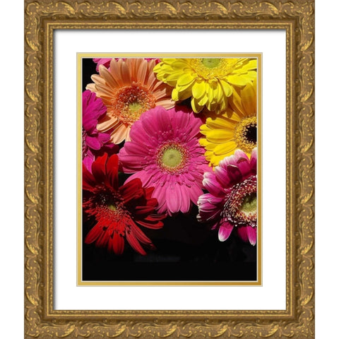 Spring Potpourri IV Gold Ornate Wood Framed Art Print with Double Matting by Burkhart, Monika