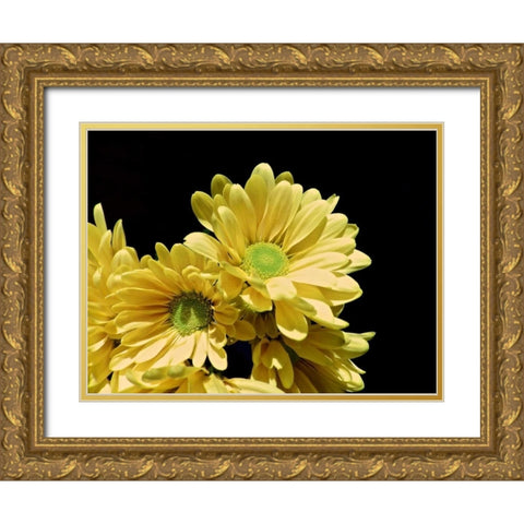 Daisy Dazzle I Gold Ornate Wood Framed Art Print with Double Matting by Burkhart, Monika