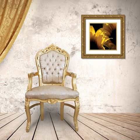 Sunlit Sunflowers V Gold Ornate Wood Framed Art Print with Double Matting by Burkhart, Monika