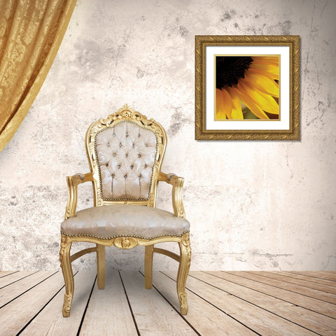 Sunlit Sunfloweres VI Gold Ornate Wood Framed Art Print with Double Matting by Burkhart, Monika