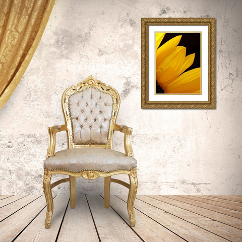Sunflowers X Gold Ornate Wood Framed Art Print with Double Matting by Burkhart, Monika
