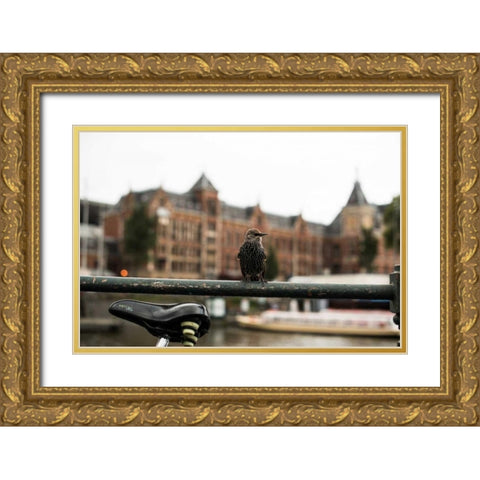 Perched I Gold Ornate Wood Framed Art Print with Double Matting by Berzel, Erin