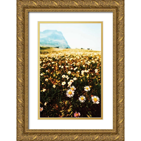 Mountain Summer I Gold Ornate Wood Framed Art Print with Double Matting by Berzel, Erin
