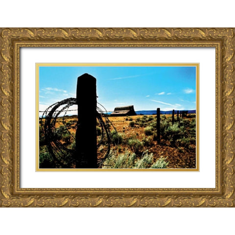 Mountain Summer II Gold Ornate Wood Framed Art Print with Double Matting by Berzel, Erin