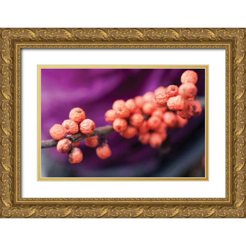 Wild Berries I Gold Ornate Wood Framed Art Print with Double Matting by Berzel, Erin