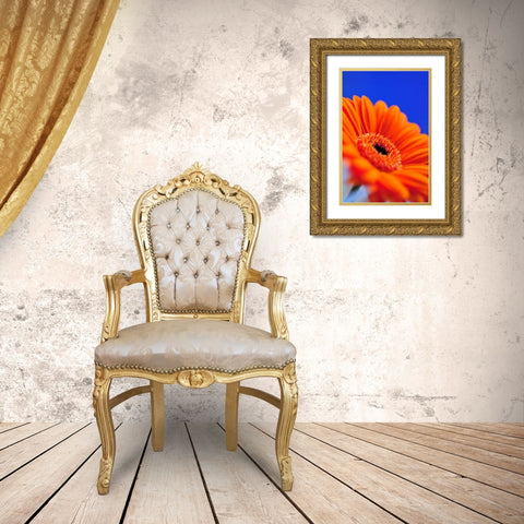 Compliments II Gold Ornate Wood Framed Art Print with Double Matting by Berzel, Erin