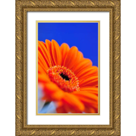 Compliments II Gold Ornate Wood Framed Art Print with Double Matting by Berzel, Erin