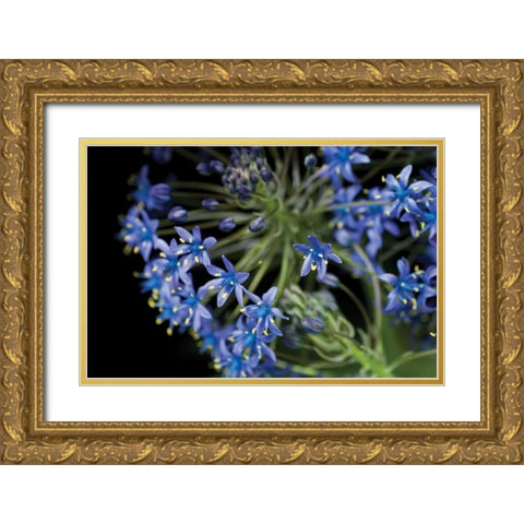 Purple Blossoms Gold Ornate Wood Framed Art Print with Double Matting by Berzel, Erin