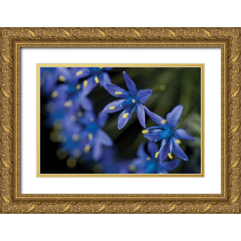 Purple Bloom Detail Gold Ornate Wood Framed Art Print with Double Matting by Berzel, Erin