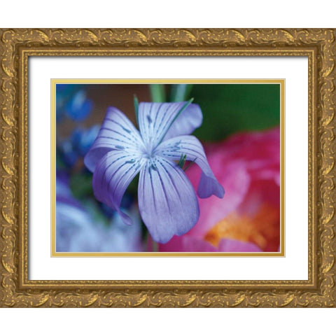 Delicate Flower I Gold Ornate Wood Framed Art Print with Double Matting by Berzel, Erin