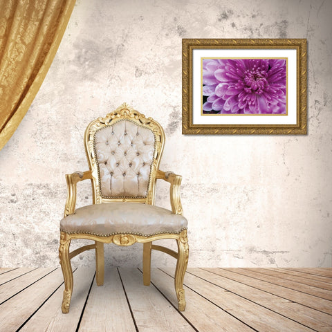 Purple Mum I Gold Ornate Wood Framed Art Print with Double Matting by Berzel, Erin
