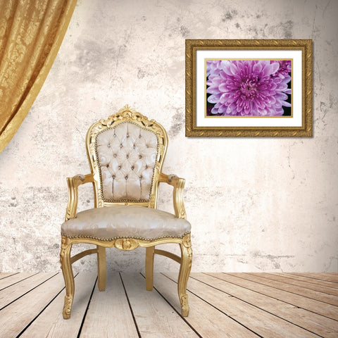 Purple Mum II Gold Ornate Wood Framed Art Print with Double Matting by Berzel, Erin