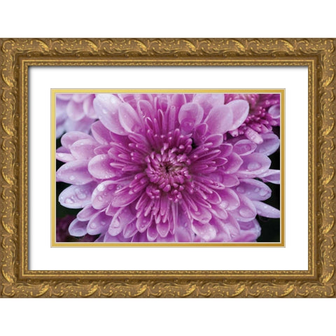 Purple Mum II Gold Ornate Wood Framed Art Print with Double Matting by Berzel, Erin