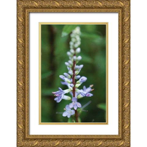In the Garden I Gold Ornate Wood Framed Art Print with Double Matting by Berzel, Erin