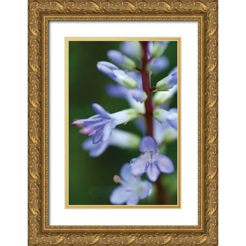 In the Garden II Gold Ornate Wood Framed Art Print with Double Matting by Berzel, Erin