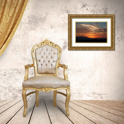 Sunset in Joshua Tree I Gold Ornate Wood Framed Art Print with Double Matting by Berzel, Erin