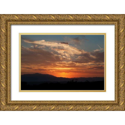 Sunset in Joshua Tree I Gold Ornate Wood Framed Art Print with Double Matting by Berzel, Erin