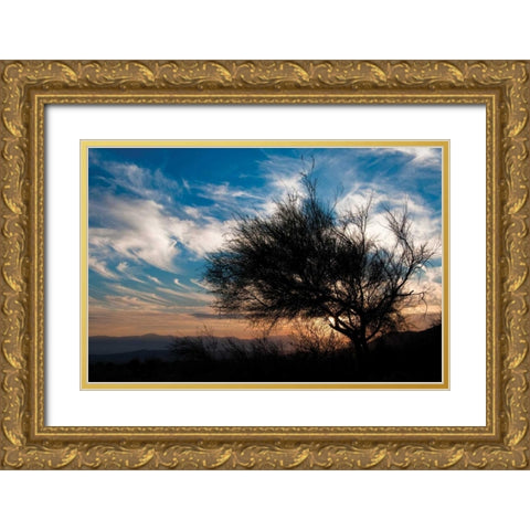 Sunset in Joshua Tree I Gold Ornate Wood Framed Art Print with Double Matting by Berzel, Erin