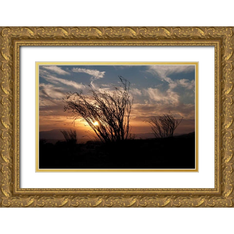 Ocotillo Cactus I Gold Ornate Wood Framed Art Print with Double Matting by Berzel, Erin