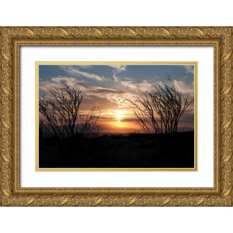 Ocotillo Cactus II Gold Ornate Wood Framed Art Print with Double Matting by Berzel, Erin
