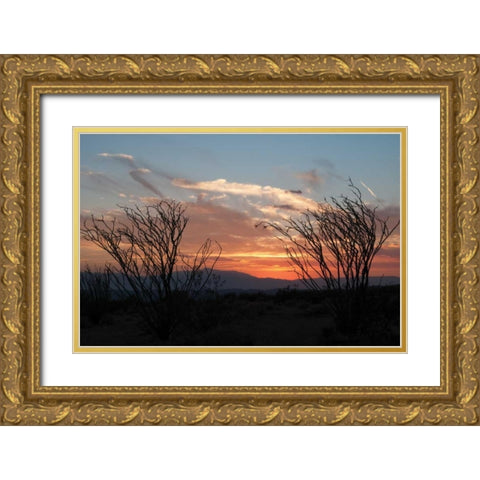Ocotillo Cactus III Gold Ornate Wood Framed Art Print with Double Matting by Berzel, Erin
