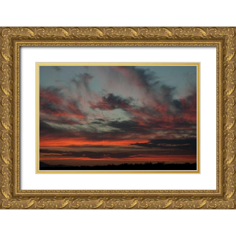 Cloudy Sunset II Gold Ornate Wood Framed Art Print with Double Matting by Berzel, Erin