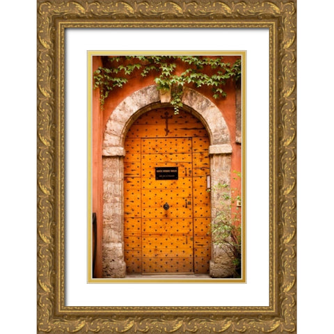 La Porte VII Gold Ornate Wood Framed Art Print with Double Matting by Berzel, Erin
