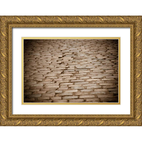 Stone Path II Gold Ornate Wood Framed Art Print with Double Matting by Berzel, Erin