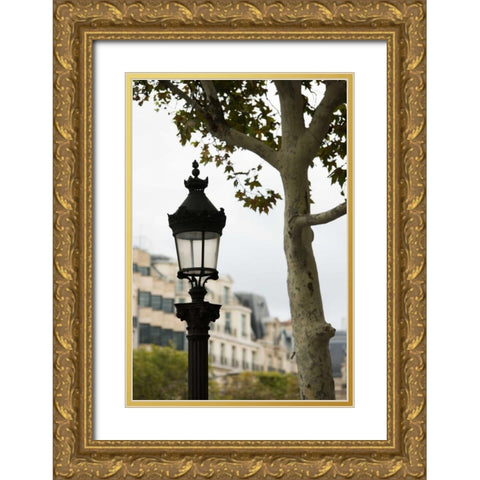 Parisian Lightposts II Gold Ornate Wood Framed Art Print with Double Matting by Berzel, Erin