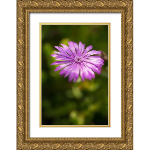 Purple Blossom Gold Ornate Wood Framed Art Print with Double Matting by Berzel, Erin