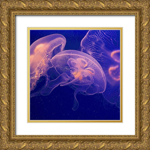 Jellyfish Dance I Gold Ornate Wood Framed Art Print with Double Matting by Crane, Rita