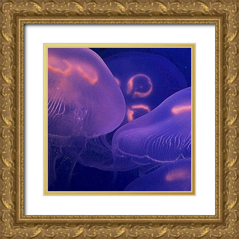 Jellyfish Dance II Gold Ornate Wood Framed Art Print with Double Matting by Crane, Rita