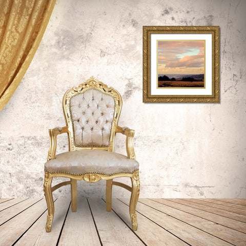Evening Sky I Gold Ornate Wood Framed Art Print with Double Matting by Crane, Rita
