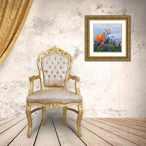 Bird of Paradise I Gold Ornate Wood Framed Art Print with Double Matting by Crane, Rita