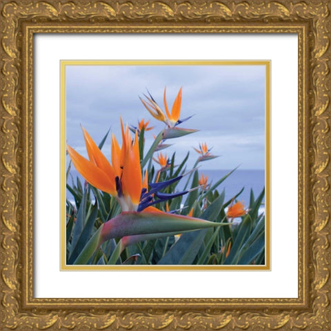 Bird of Paradise I Gold Ornate Wood Framed Art Print with Double Matting by Crane, Rita