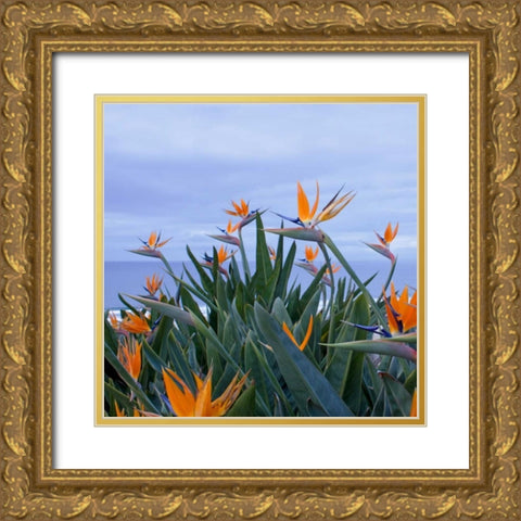 Birds of Paradise II Gold Ornate Wood Framed Art Print with Double Matting by Crane, Rita