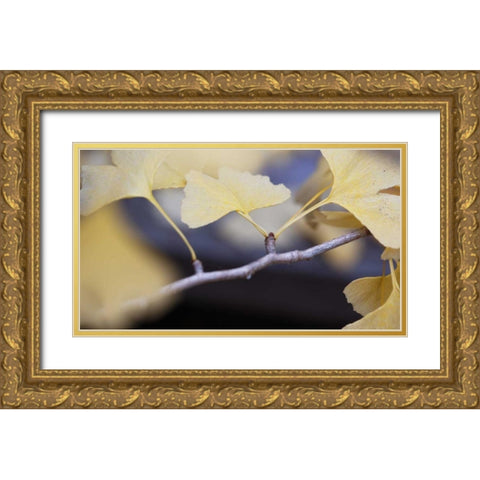 Autumn Gingko I Gold Ornate Wood Framed Art Print with Double Matting by Crane, Rita