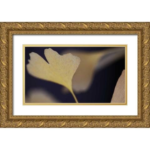 Autumn Gingko II Gold Ornate Wood Framed Art Print with Double Matting by Crane, Rita