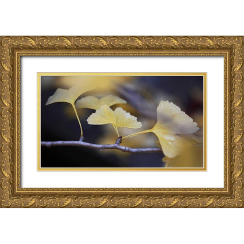 Autumn Gingko III Gold Ornate Wood Framed Art Print with Double Matting by Crane, Rita