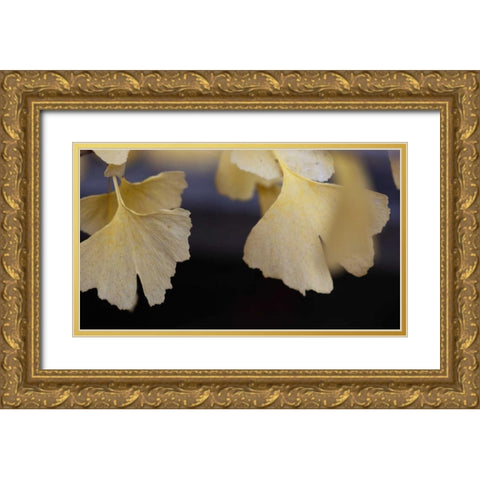 Autumn Gingko IV Gold Ornate Wood Framed Art Print with Double Matting by Crane, Rita