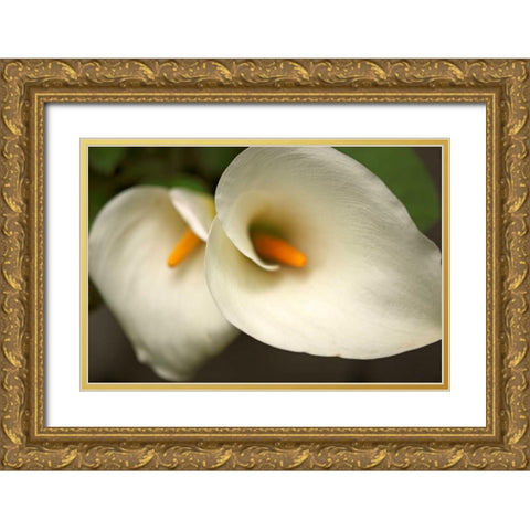 Calla Lilies III Gold Ornate Wood Framed Art Print with Double Matting by Crane, Rita
