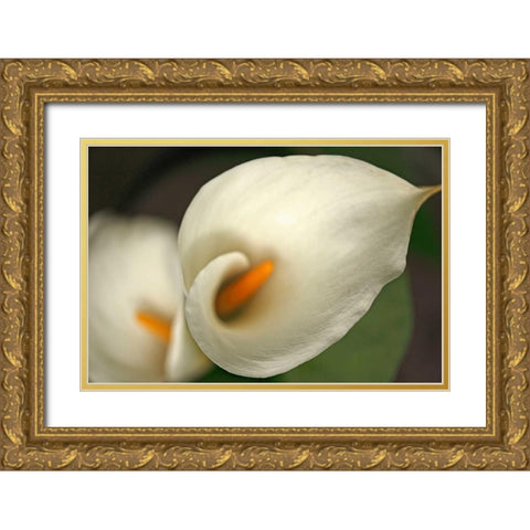 Calla Lilies V Gold Ornate Wood Framed Art Print with Double Matting by Crane, Rita