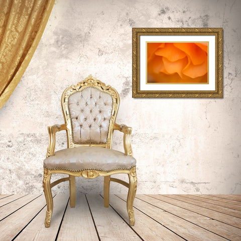 Begonia Glow II Gold Ornate Wood Framed Art Print with Double Matting by Crane, Rita
