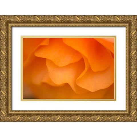 Begonia Glow II Gold Ornate Wood Framed Art Print with Double Matting by Crane, Rita
