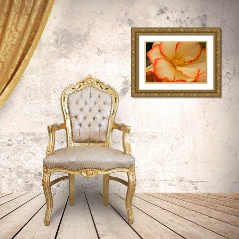 Camilles Begonias II Gold Ornate Wood Framed Art Print with Double Matting by Crane, Rita
