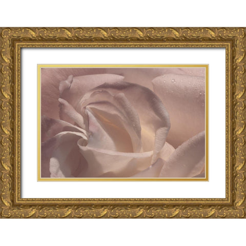 Heart of a Rose V Gold Ornate Wood Framed Art Print with Double Matting by Crane, Rita