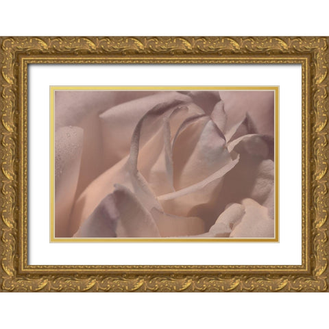 Heart of a Rose VI Gold Ornate Wood Framed Art Print with Double Matting by Crane, Rita