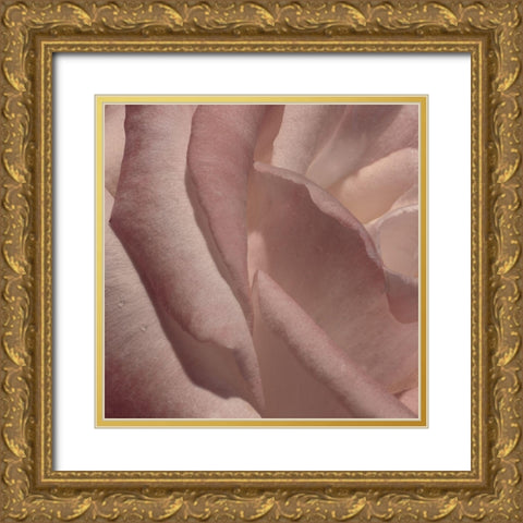 Heart of a Rose VII Gold Ornate Wood Framed Art Print with Double Matting by Crane, Rita