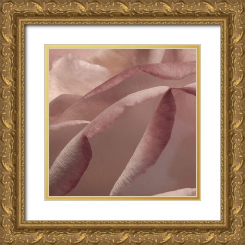 Heart of a Rose VIII Gold Ornate Wood Framed Art Print with Double Matting by Crane, Rita